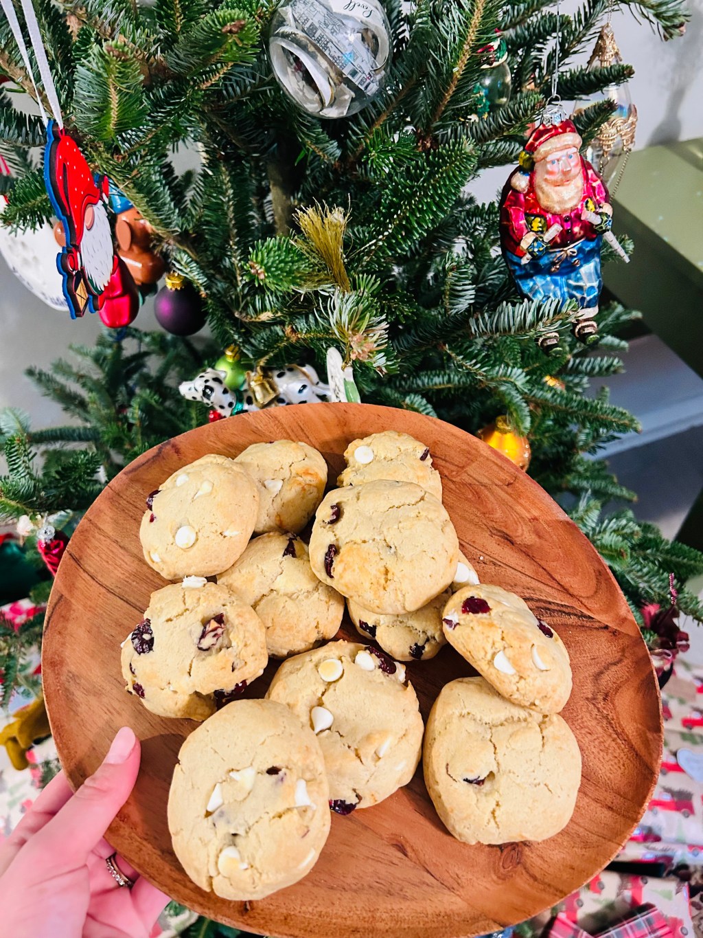 One Bowl Orange and Cranberry&nbsp;Cookies