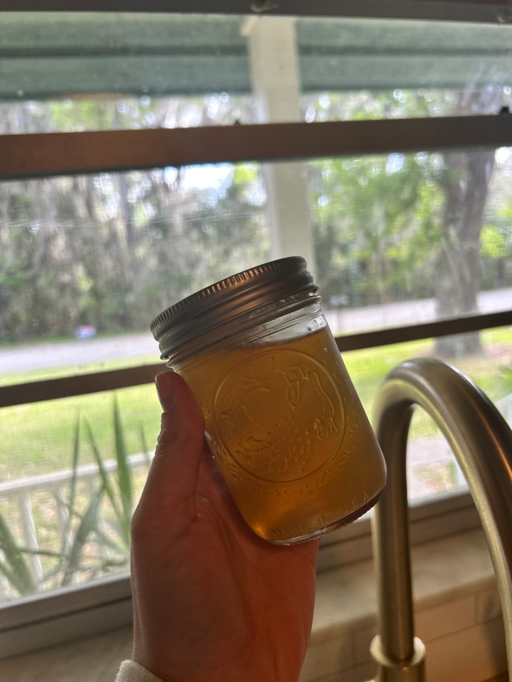 Homemade Chicken Stock