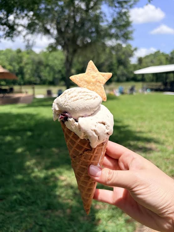 Vanilla Bean- Blueberry Jam Ice&nbsp;Cream